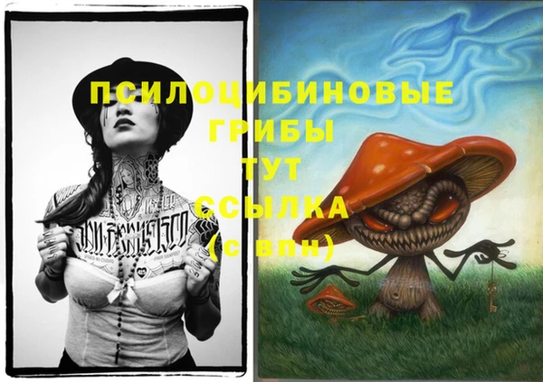 кокс Горнозаводск