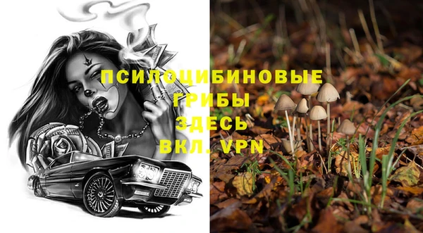 прущая мука Горняк